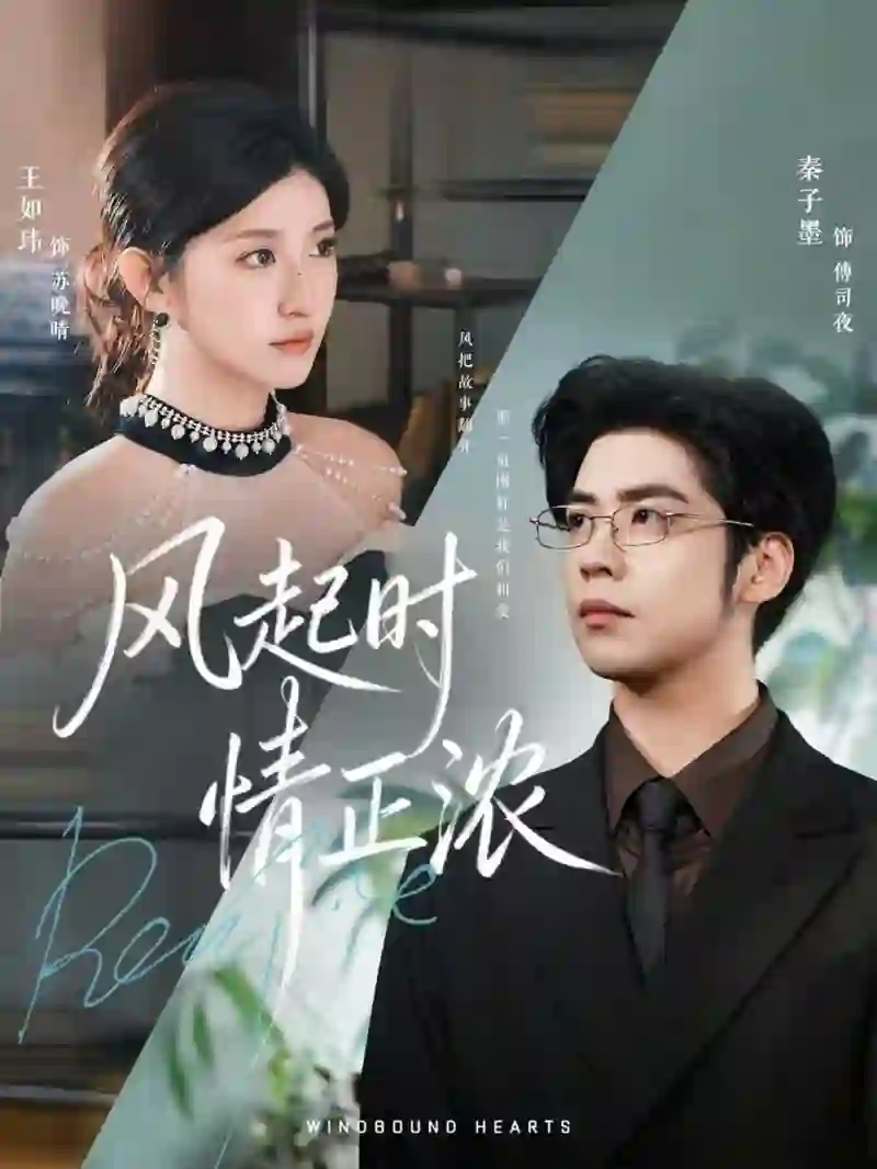 风起时情正浓