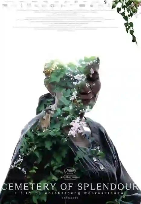 《幻梦墓园》剧情深度解析与大结局剧透