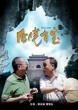 《后院有宝》剧情深度解析与大结局剧透